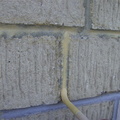 Tinting 1.jpg